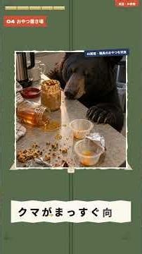 プーさん100歳の誕生日に…本物のクマが図書館でハチミツを食べた #shorts