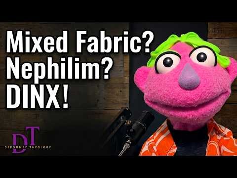 Does Dinx Wear A Tinfoil Hat? Is He Made From Mixed Fabrics? Ep.72