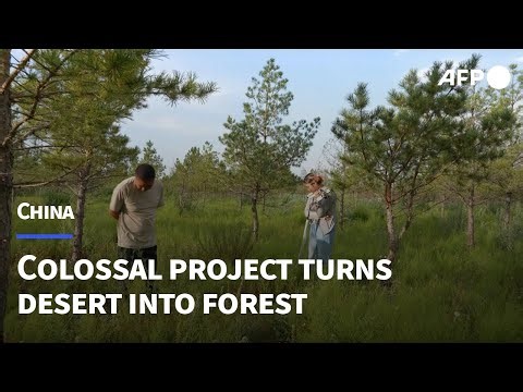 Hope and hardship along China's 'Great Green Wall' | AFP