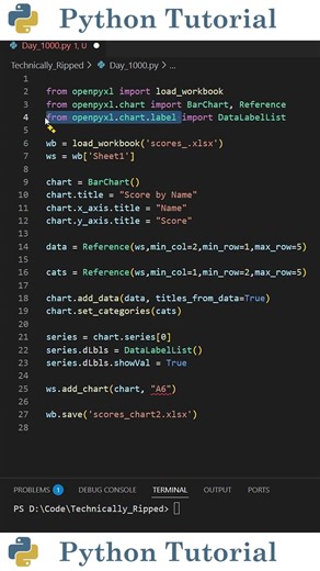 Customizing Excel Chart Data Labels With Openpyxl | Python Tutorial
