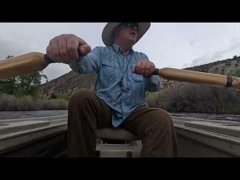 Dillon Montana - Salmon Fly Hatch