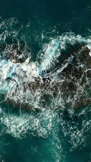 Earth Day in Bermuda: Our Power, Our Planet | Go To Bermuda