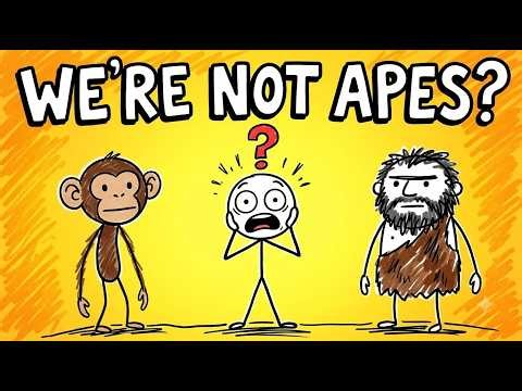 How Did Humans Actually Evolve? The 7-Million-Year Journey