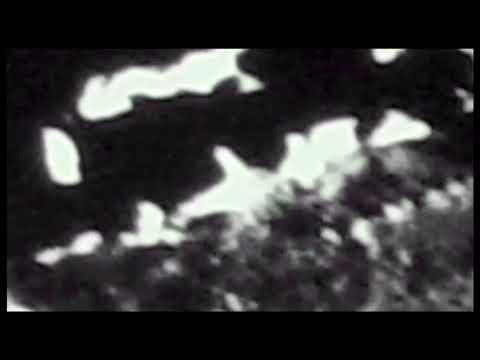 Old NASA Shows More ALIEN STRUCTURES On The Moon? 2026