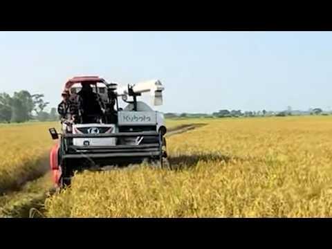 အီရန်စစ်ပွဲကြောင့် မြန်မာ့လယ်ယာထွက်ကုန်လုပ်ငန်းတွေ အကြီးအကျယ်ထိခိုက်