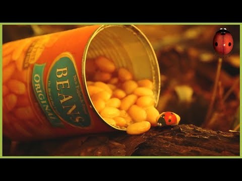 Turbo speed | Minuscule | 20' Compilation
