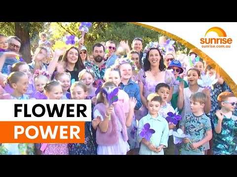 Toowoomba's floral world record attempt blooms | Sunrise