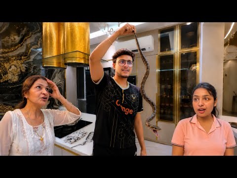 Kitchen Me Saap Nikal Gaya 😨 || Dimple Malhan Vlogs