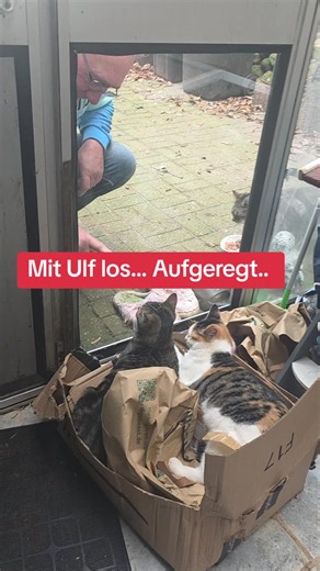 #ulf #tierarzt#aufgeregt