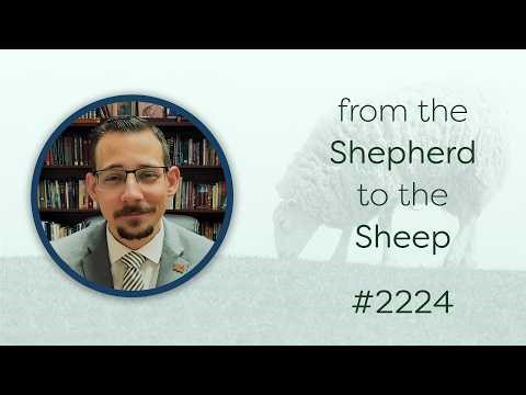 From the Shepherd to the Sheep - #2224 - CBC