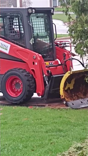 My Yard Is Under Attack… Now the Bird Is Fighting a Bobcat