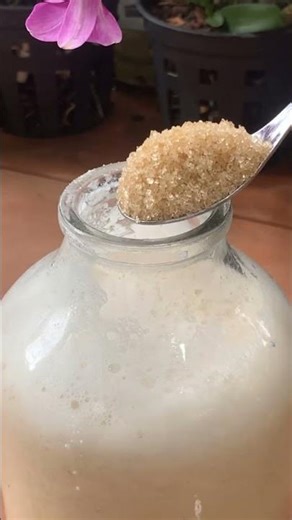 Orchid Roots Grow 300% Faster with This Little-Known Trick!