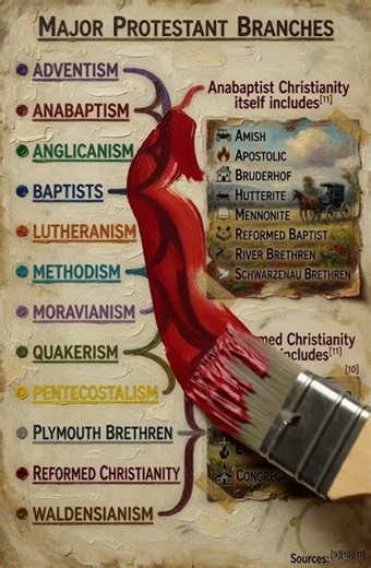 Major Protestant Branches