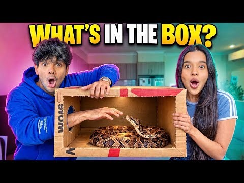 What's in the Box Challenge 😂 | Yash & Hass