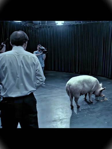 British boxer Anthony Joshua was injured in a car accident in Nigeria, which resulted in the deaths of two other individuals. Footage posted online showed the former heavyweight world champion, shirtless and disoriented, sitting in a damaged vehicle surrounded by shattered glass. #Anthony Joshua# Car Accident#Nigeria