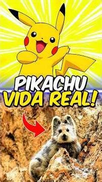 Pikachu da VIDA REAL vai SUMIR? 😨💔