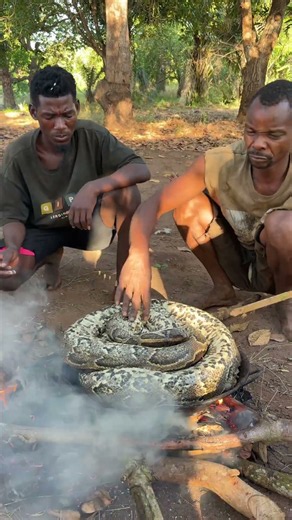 Python on the menu. #bushmen #wildlife