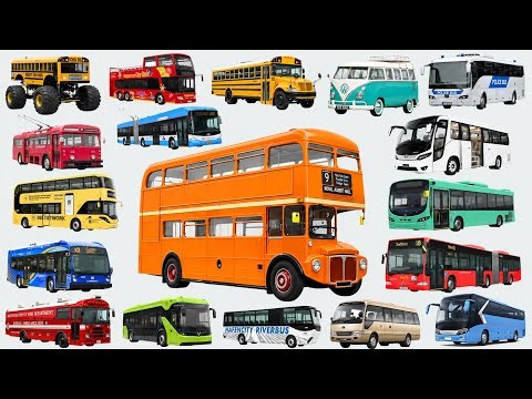 School Bus, City Bus, Police Bus, Mini Bus | Learn All Bus Names with Sounds