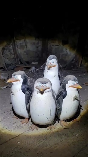 Explorando a Ilha de Madagascar e Seus Personagens