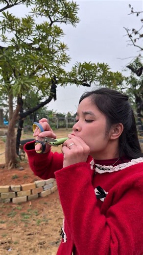 Childhood Banana Leaf Trumpet – A Nostalgic Memory of Rural Vietnam