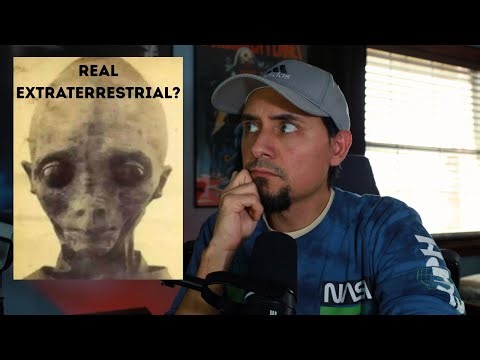 Jon Stewart Alien Image - Real Or Fake?