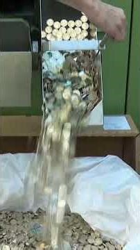 Bulgaria Joins the Eurozone: New Coins and Historic Currency Switch 2026 | DRM News | AC14