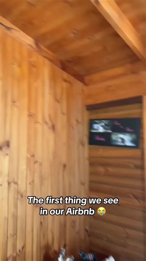 Lizard Lizard Lizard 💀 @Barstool Outdoors (🎥:@victoriafarmdiaries) | lizard in house