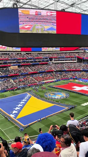 Bosnia World Cup Celebration Moments — Felt Like Yesterday