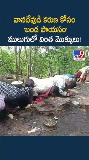 Mulugu : వానదేవుడి కరుణ కోసం 'బండ పాయసం'.. ములుగులో వింత మొక్కులు! - TV9