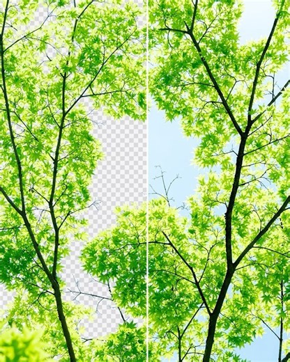 Photoshop 2026 Tips – How to Quickly Remove a Blue Sky Background Without Using AI #ducthangds