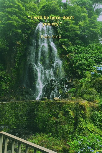 I love this #journaling #writing #fieldnotes