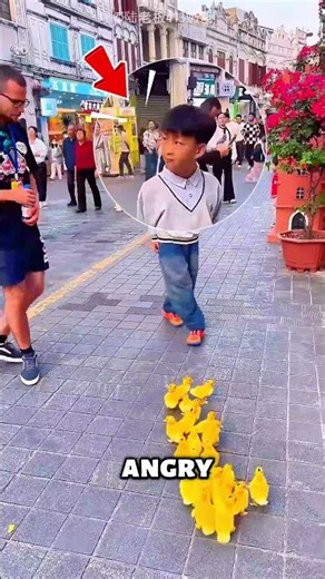 Ducks Surprise Everyone with Cuteness😍❤️#shorts