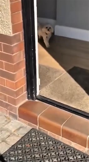 Compare car insurance rates with WagonSaver and save an average of $810/year. That's more peace of mind - and more money in your pocket. | Joannah Willis