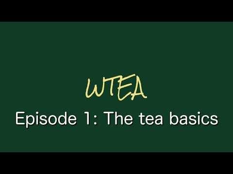 What Is Tea Really? (Beginner's Guide to Tea Types)