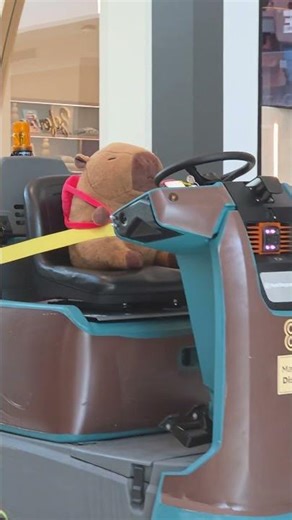 Stuffed Capybara With A Backpack Drives Cleaning Cart || ViralHog