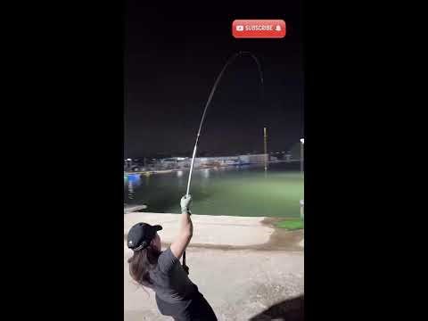 Super fish pulled the boat 🚤 | 괴물물고기 | 巨大魚