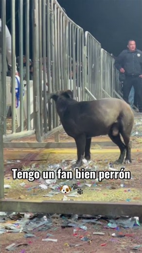 Les presento a mi fan más perrón ❤️🎵🇲🇽 #panchobarraza #regionalmexicano #perro #viral #banda #fyp