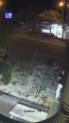 Green-thumbed thieves caught in the act | 9 News Australia