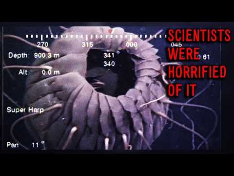 9 Disturbing Deep Sea Creatures Filmed by Japan’s ROVs (Real Footage Explained)