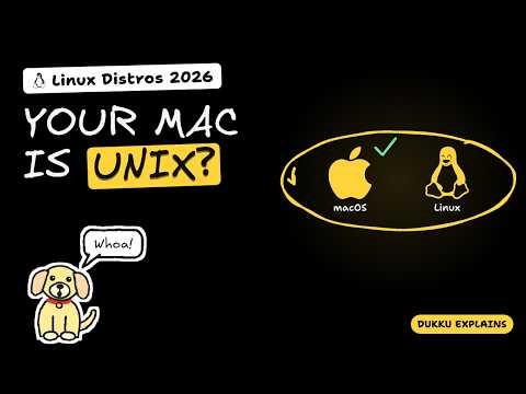 Best Linux Distro for You in 2026