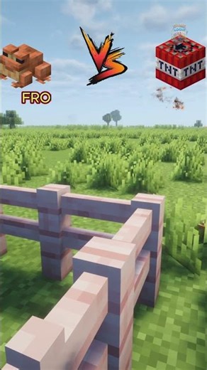 Can a Frog jump away from TNT? 😱🧨🐸 #frog #minecraft #minecraftshorts