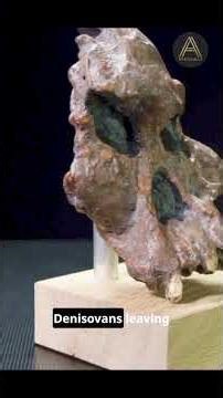 How Humans Really Evolved 🧬 | 300,000 Years of Human History