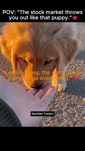 POV: "The stock market throws you out like that puppy."