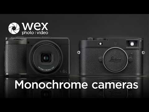 Are these the best monochrome cameras available?
