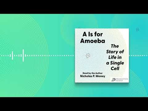 Princeton Audio | A Is for Amoeba: The Story of Life in a Single Cell #science #audiobook