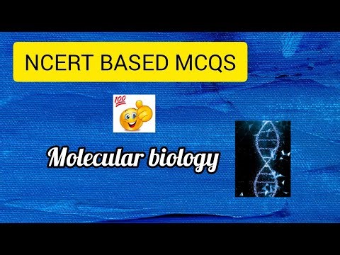 Molecular Basis of Inheritance | NCERT Biology MCQs | NEET | CUET | CET | Boards👀