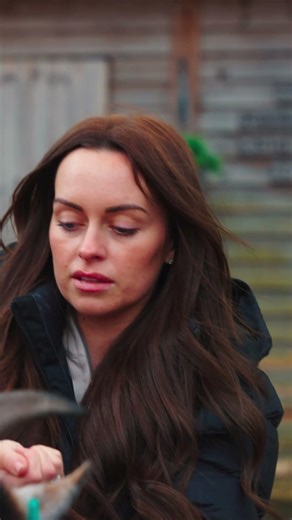 Are Stalkers Your Biggest Fear? FULL VIDEO LIVE #protectiondogsworldwide