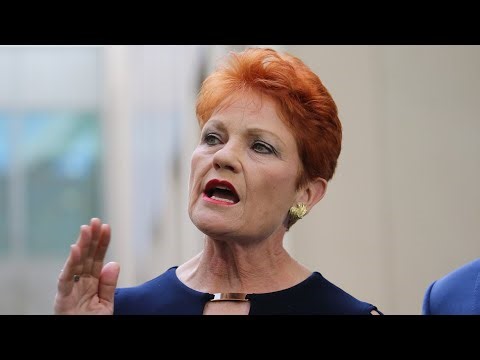 Leaked Liberal polling reveals One Nation the ‘red hot favourite’ to win Farrer by-election