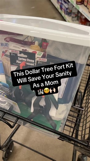 Stuck inside because it’s too cold to play outside? This @Dollar Tree fort-building kit is the ultimate mom sanity saver. 🫶 #kidsactivities #momsoftiktok #snowday #kidtok #dollartreediy