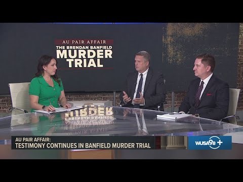 'The expert was all over the map' | Reaction to forensic expert's Tuesday morning testimony